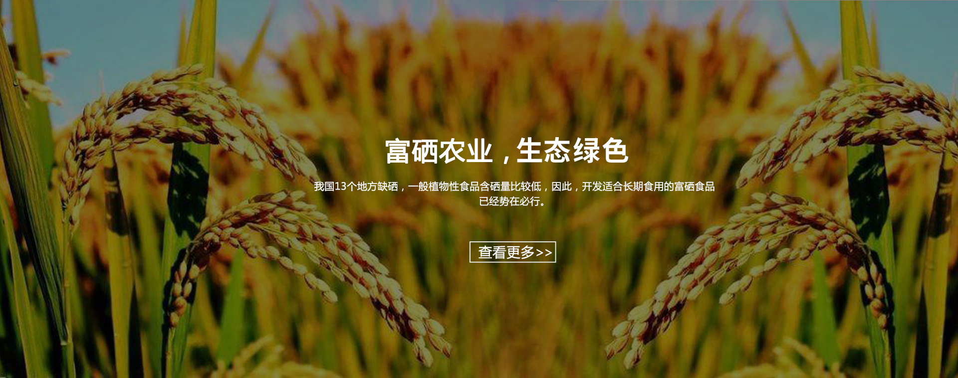 富硒技術(shù)